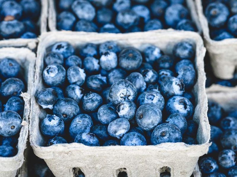 How Blueberries Can Improve Your Health